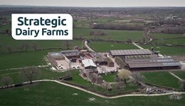 Cheshire: Leaning into Dairy Business Management